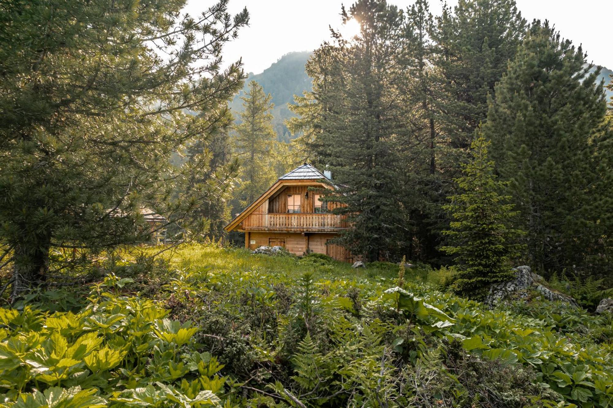 Alpin-Huetten Auf Der Turracherhoehe Haus Murmeltier By S4Y Turracher Hoehe Exterior photo